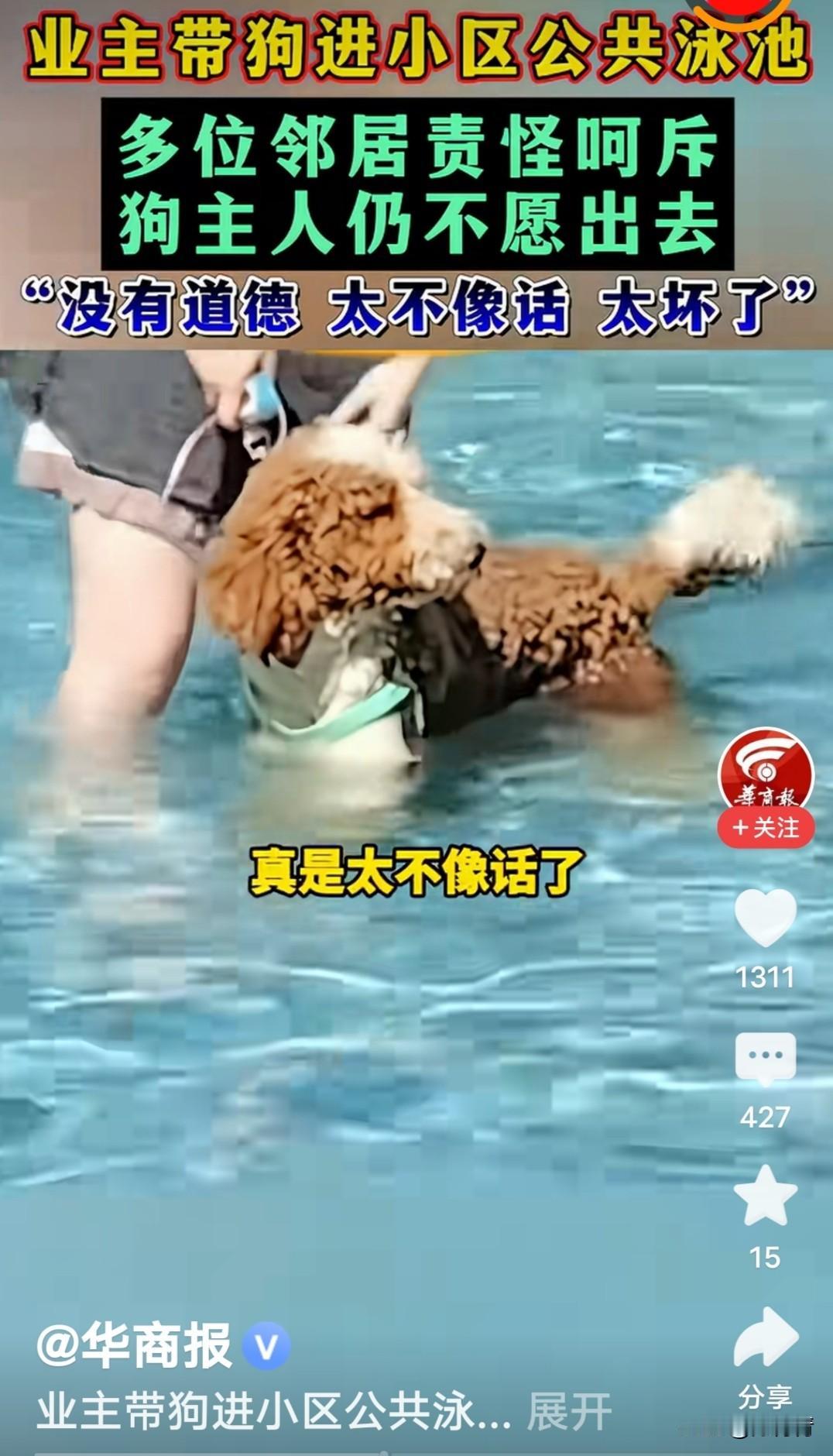 女子带宠物狗进小区公共浴池洗澡！挑衅道德底线。

被在场的人谴责，她还嘴不饶人，