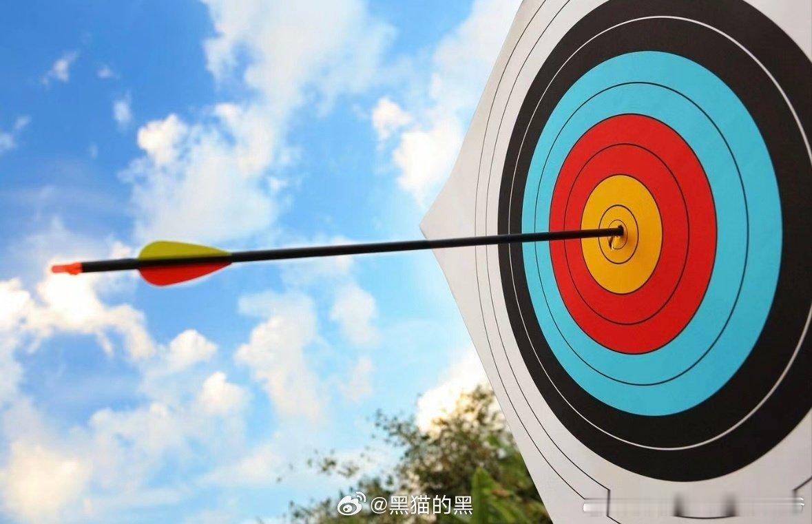 #韩国一奥运射箭冠军视力仅0.1#🎯揭秘奥运射箭：70米外的较量，视力并非王道