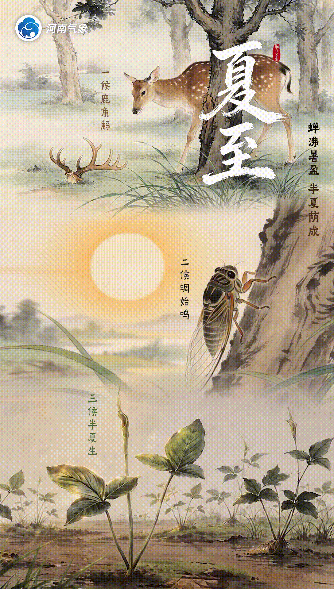 夏至 蝉沸暑盈，半夏荫成。一候鹿角解，二候蝉始鸣，三候半夏生。 （河南气象）信阳