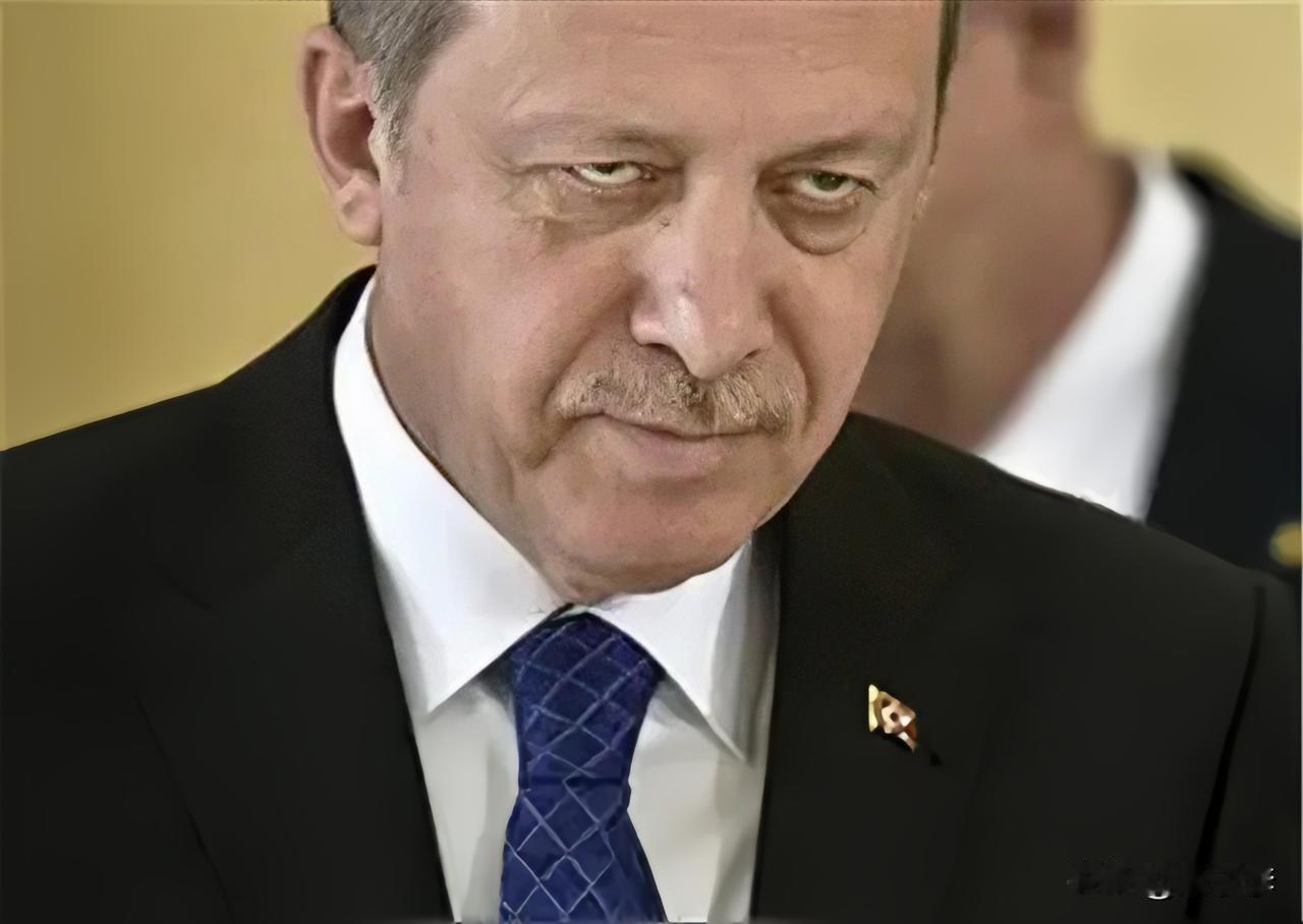 埃尔多安终于反应过来了！

原来以色列打遍周朝国家，安全问题幌子，根本目的是“王