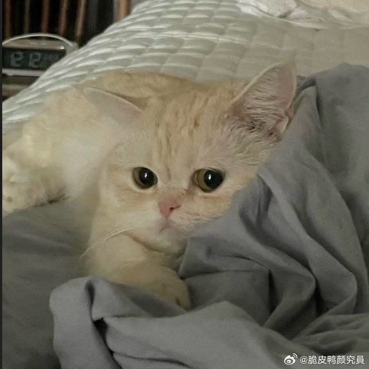 分享图片 