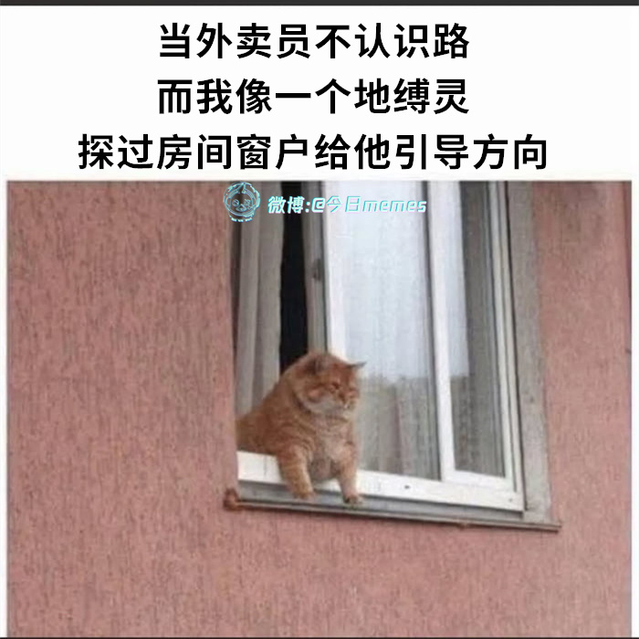 我是这栋今日meme 今日memes