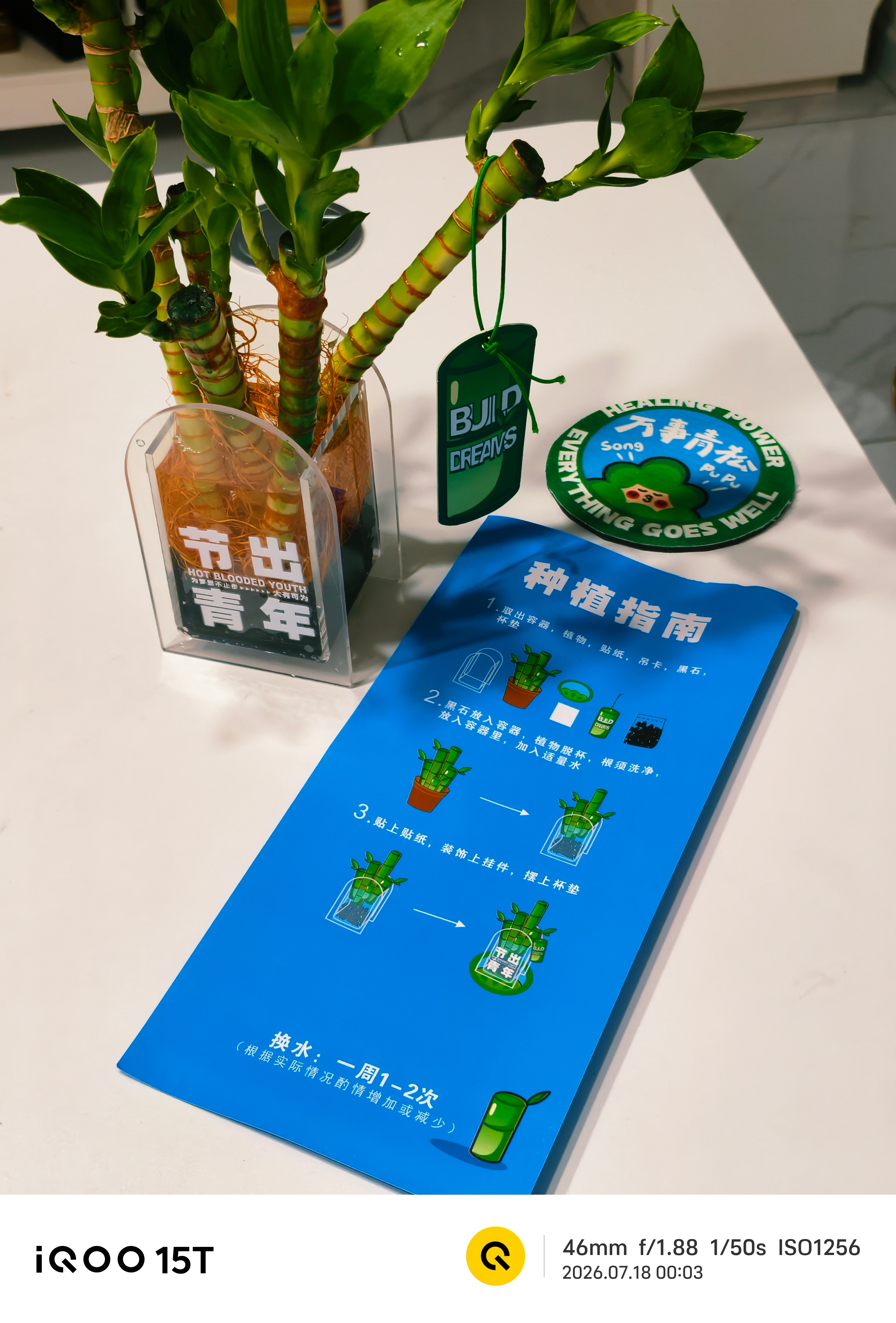 节出青年已就位iqoo15tiqoo这礼物喜欢😻😻 