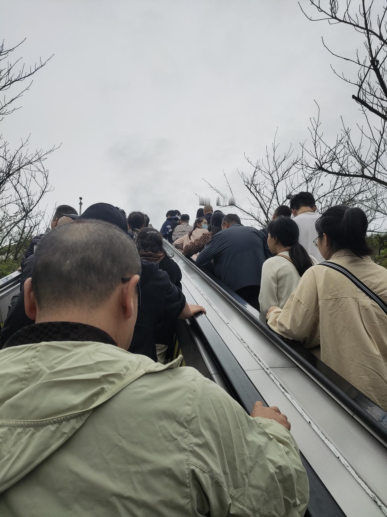 朋友又在我面前晒幸福了，说他正科儿媳妇，前两天和副科儿子大包小包拎包入住。陪他们