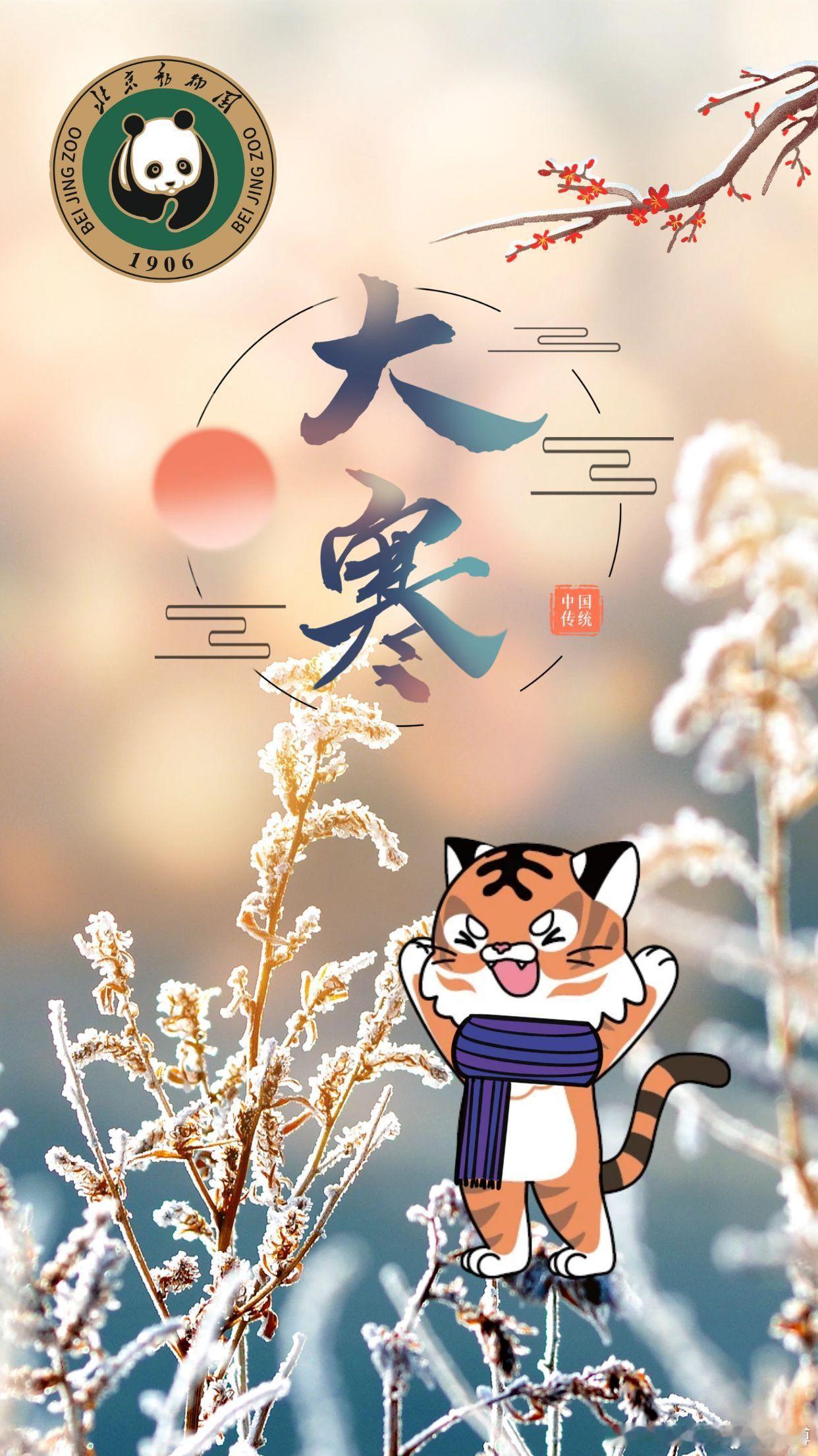 北京动物园   二十四节气  今日大寒~ 