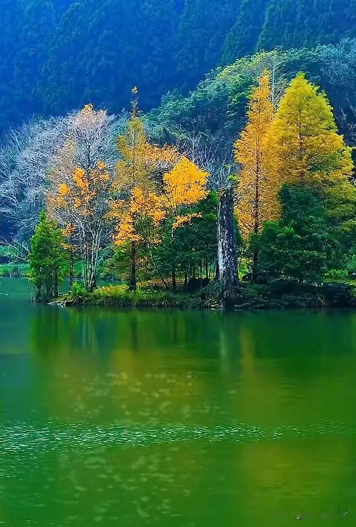 多彩的秋#秋日旅行日记##赏秋旅游随拍# #秋季美景随#