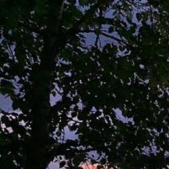 一帆风顺虽然令人羡慕，可是逆水行舟有的时候会更让人钦佩。 