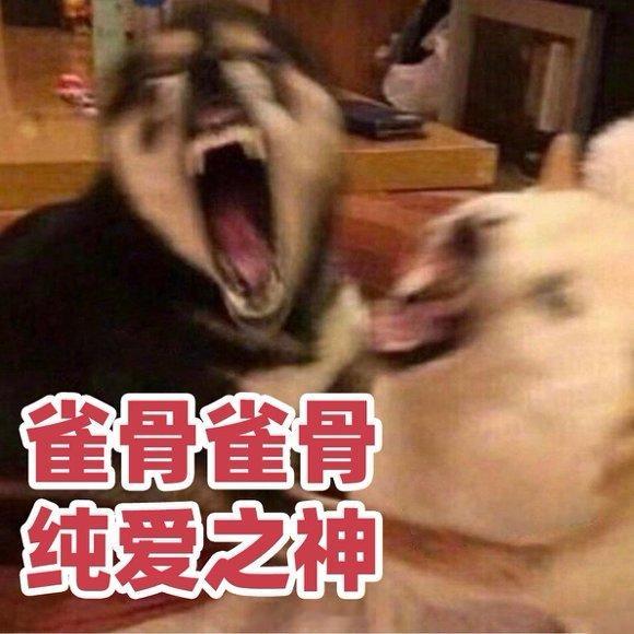 雀骨拍出了中式纯爱雀骨萧猫钓鱼日常：嘴上互怼没停过，手却诚实地挡雨擦鞋藏发带，谢