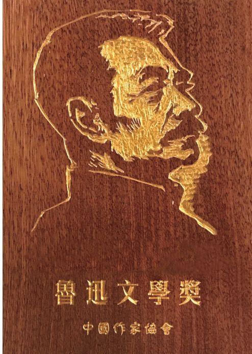 第九届（2022-2025）鲁迅文学奖，于2026年7月15日由中国作家协会评奖
