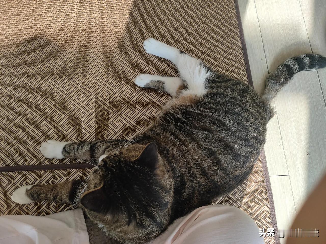 其中之一缘由:人囗太多，活岁数太大，所以要筛掉那些不自律的人。所以，你要自律哦！