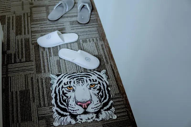 河南沁阳一动物乐园推出168元一晚的“虎景房”，可近距离和多种老虎同住，这事儿一