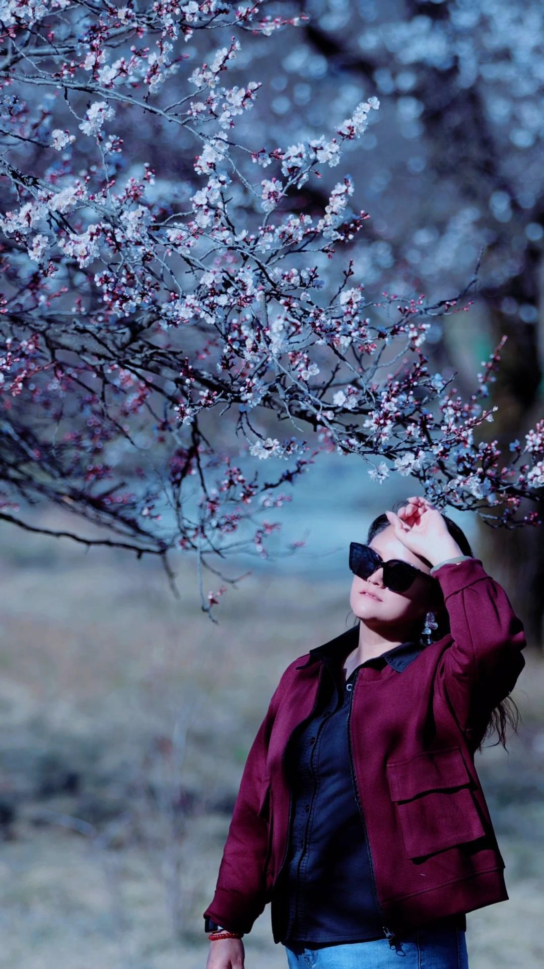 春天真的来了！漫步在街角小路，路边的花花草草都透着生机。阳光洒在花瓣上，红的、粉