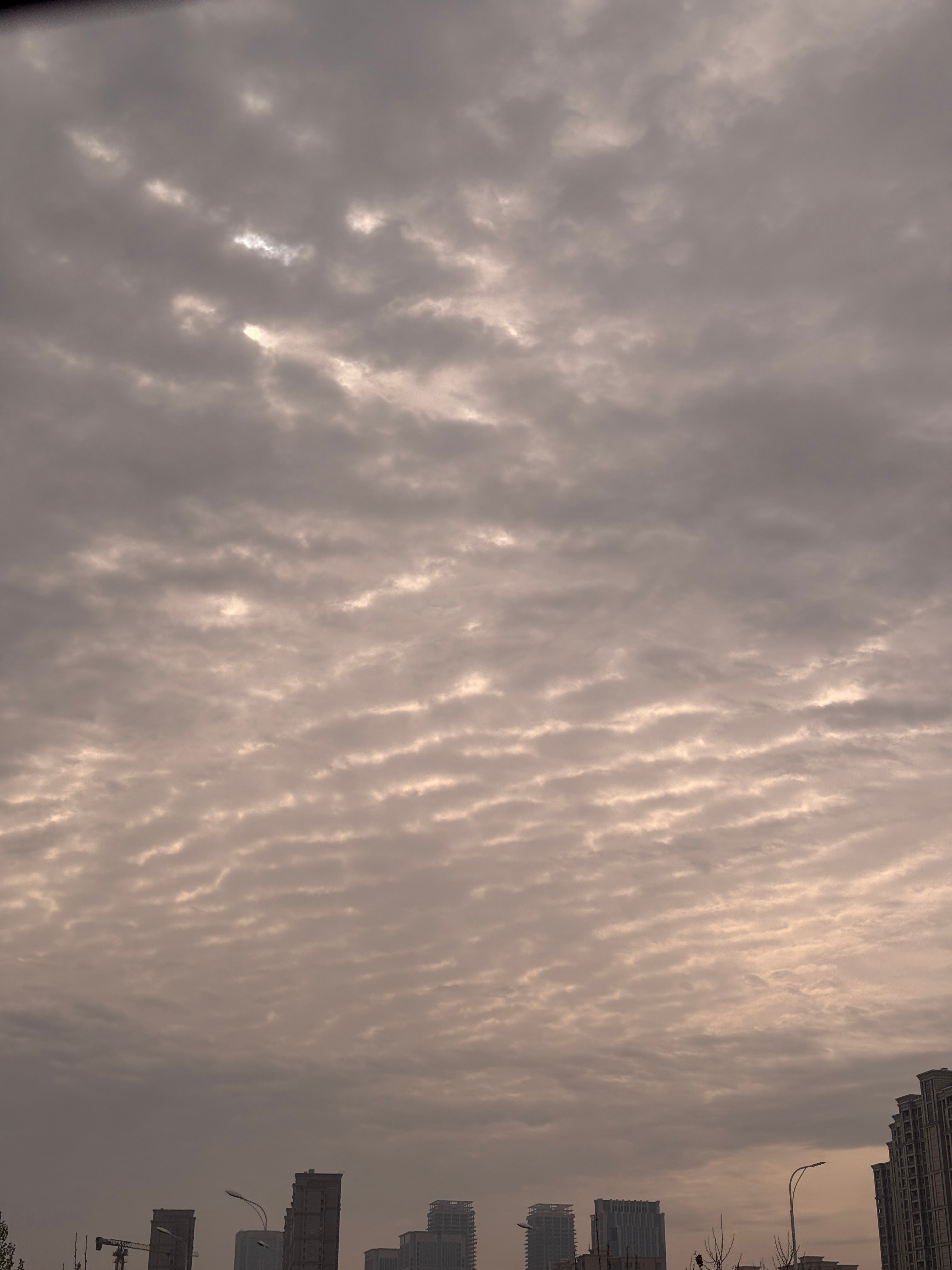 请你看今天的鱼鳞云☁️像不像上牙膛