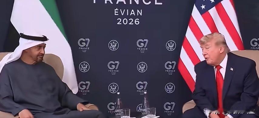 特朗普在法国G7峰会 与阿联酋总统会谈时调侃其;“富可敌国，说话也轻声细语”。