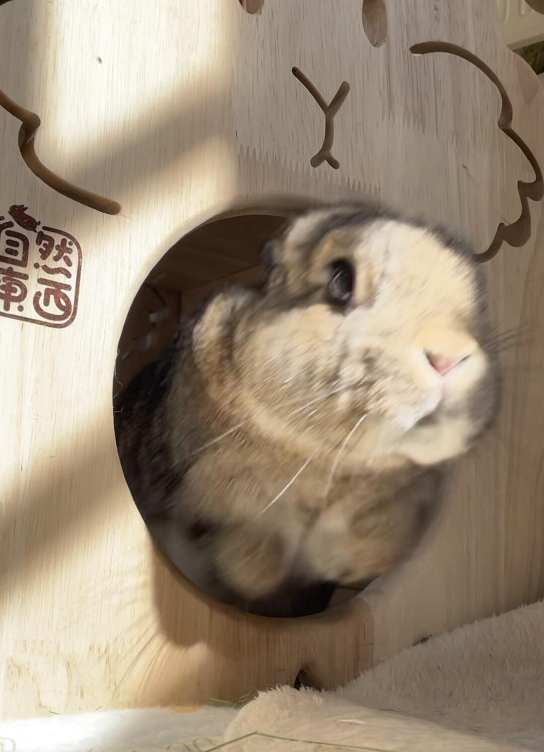 gogogo出发啦