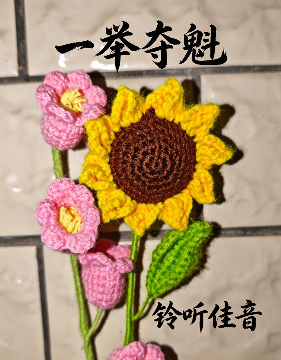 全国统一高考6月7日开考高考加油马上就要高考啦，真的特别期待！原本种了向日葵想讨