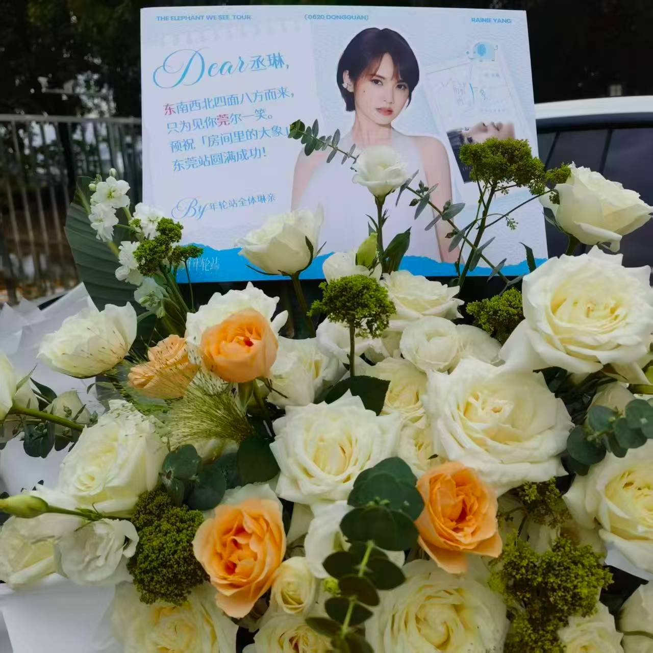杨丞琳杨丞琳房间里的大象世界巡回演唱会 【🩵6/20巡演东莞站🩵】「东」南西
