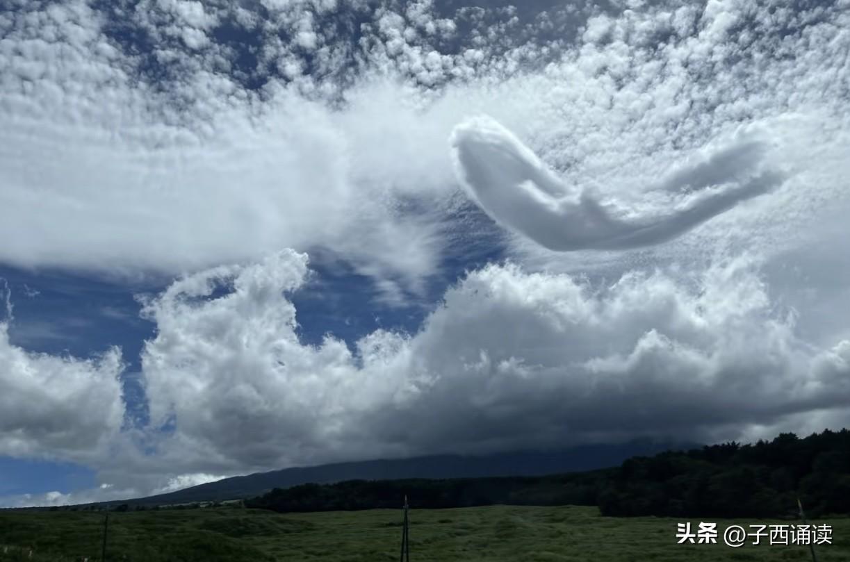 让你们长长眼，老天爷告诉你们什么是“鱼跃龙门”！