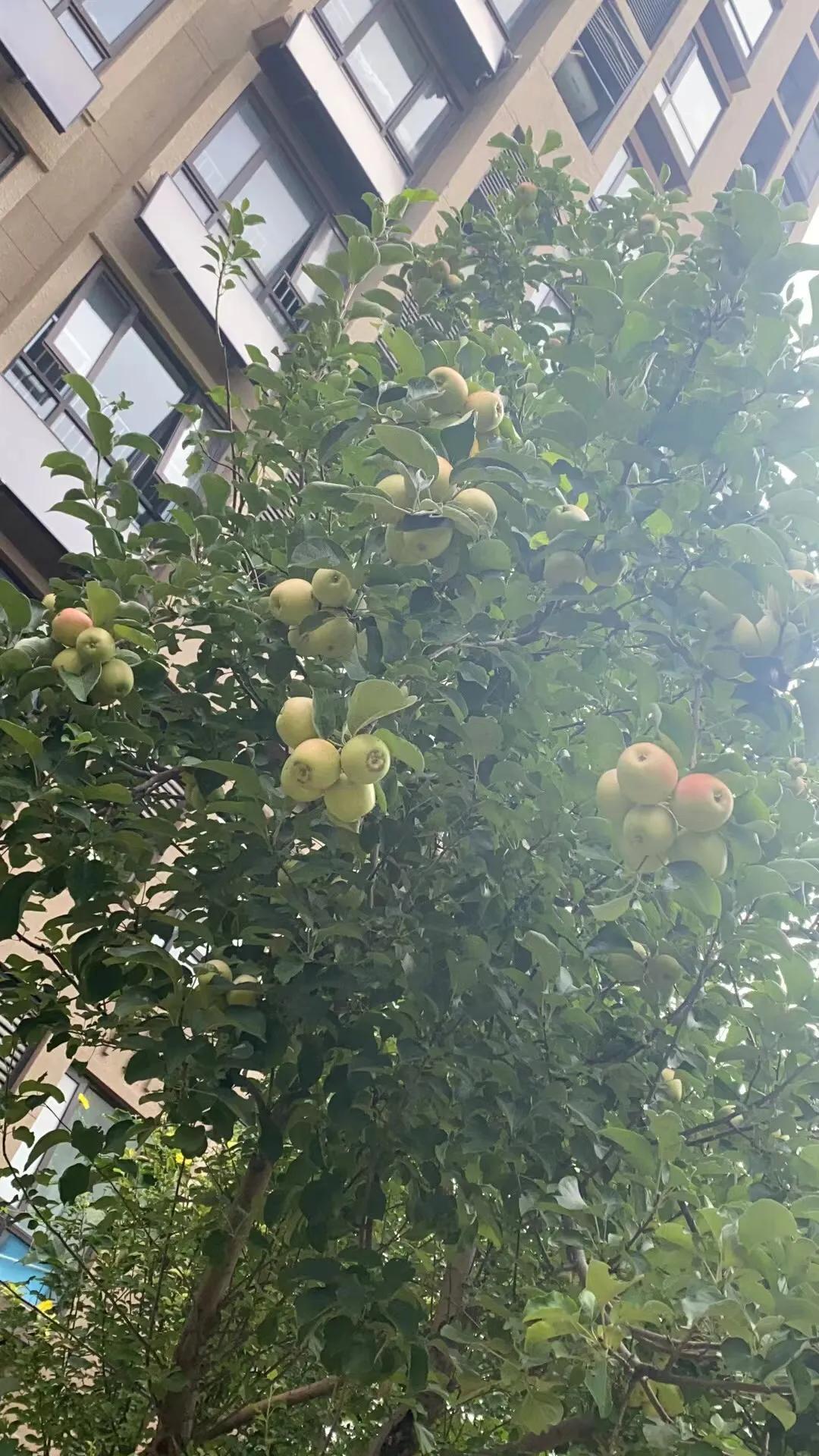 今天在外有事忙，非常6+1就不发了，谢谢大家。