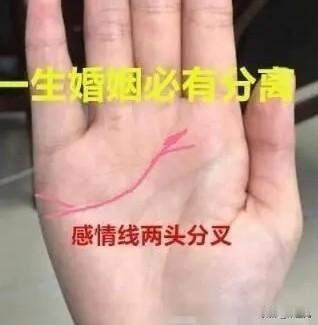有没有和我一样，身为单身狗，注定没有节日。我习惯了一个人的生活，每一天平平淡淡，
