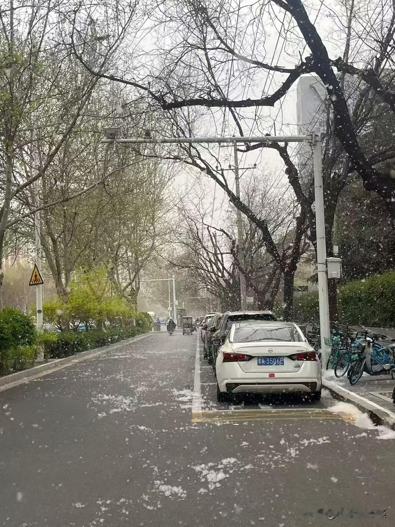 今天石家庄到处飞毛毛[流泪]过敏人群的天塌了