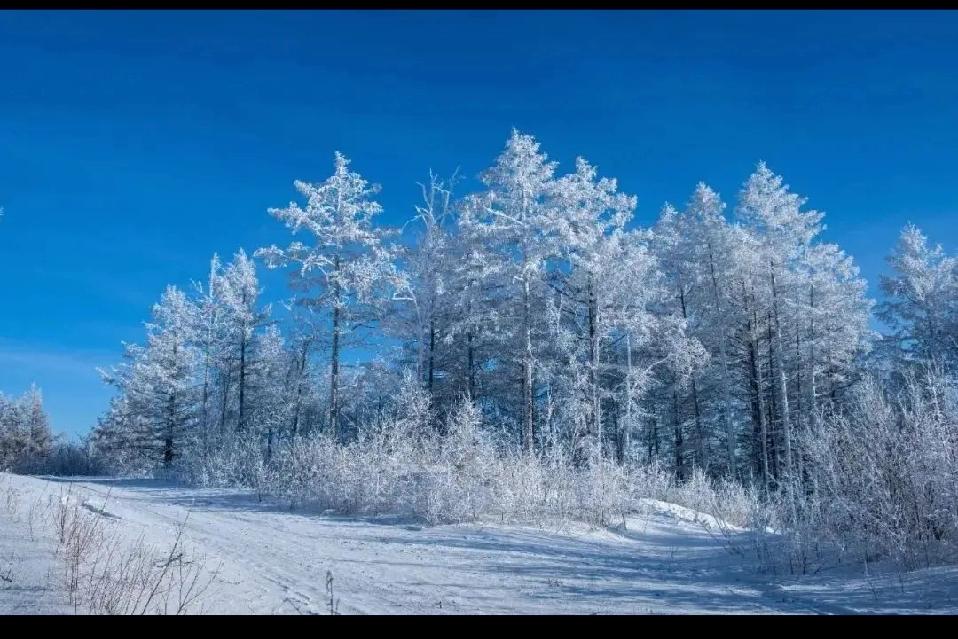 现在的平台都成为乌龙平台
现在平台的信息不是造谣信息火爆，就是出差的乌龙信息火爆