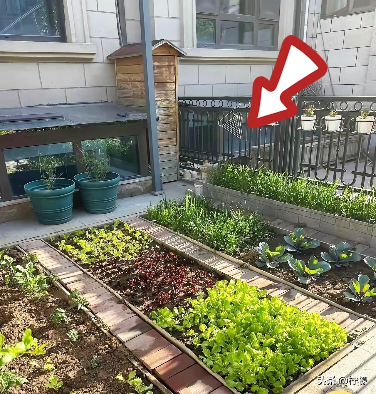 梅婷在北京那套近亿的别墅里，
最金贵的不是装修，是公婆打理
的400平菜园，一年