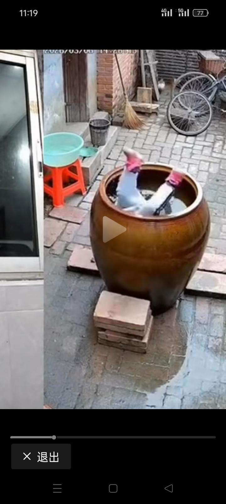 这个视频假的不能再假了，孩子掉进水缸后，两只脚一动没动！不过也好，提醒一下家长，