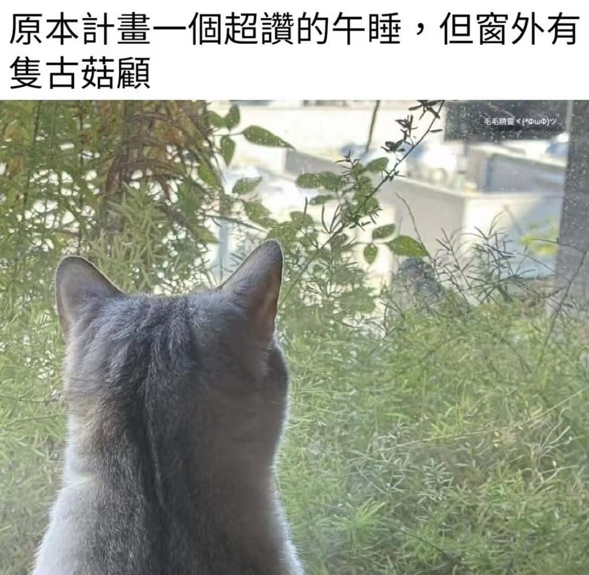 吵死了