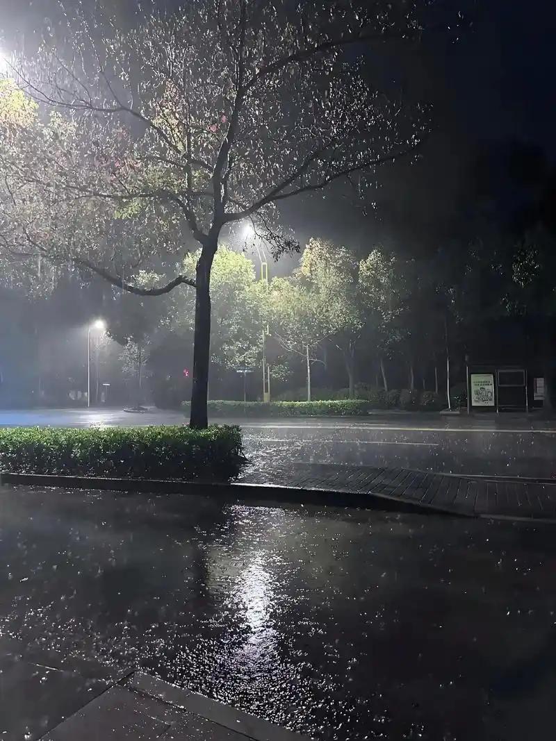 一位社会学者说：人死后就是一块臭肉。土葬是让他慢慢烂掉，火葬是快速烧掉。二者皆有