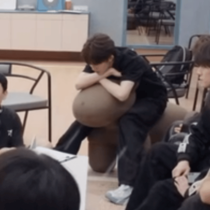 你们知道苏新皓有多爱多爱多爱这只胖马吗 