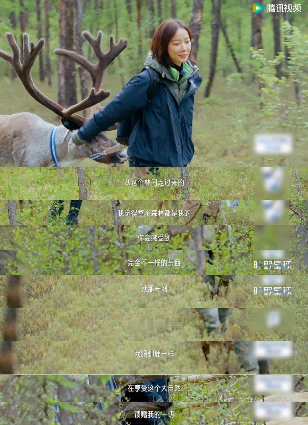 感觉下一秒王珞丹就要住在森林里了 《旷野星球》里她的每个瞬间都和户外贴得很紧——
