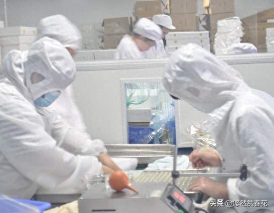 难产之谜添新解：除了直立行走，男婴或许才是真正的隐藏推手