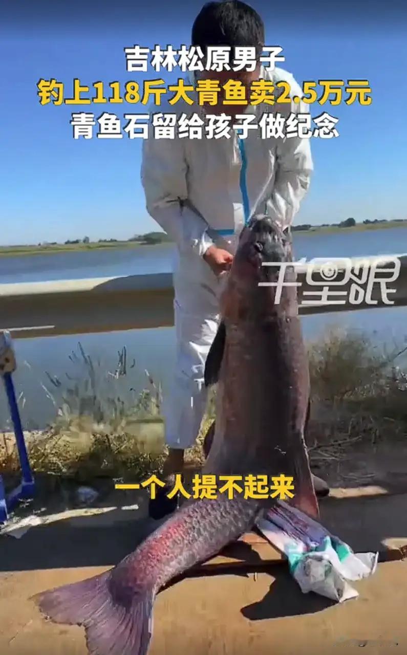 吉林松原，一名钓鱼爱好者，凭一己之力拽上岸118斤大青鱼，既赚了两万五现金，还给
