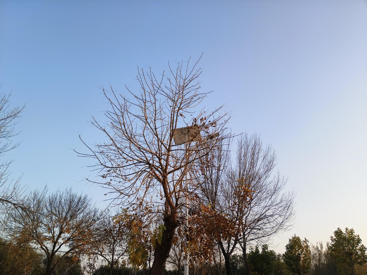 《心情折痕》
心是张被揉皱的纸
雨丝在窗台反复写错字
风穿过走廊时
带走了一半的