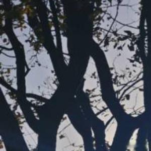 天气说变就变，关系说淡就淡，感情说散就散，现实生活中谁会陪谁到永远，谁会一直把谁