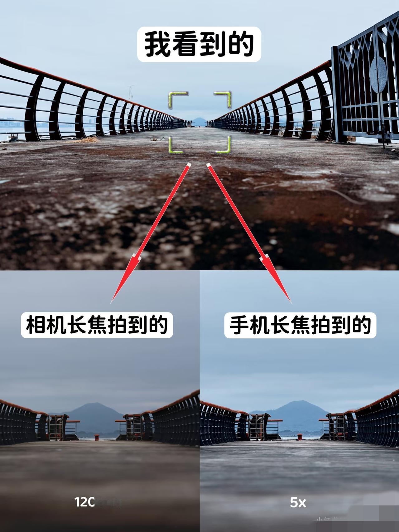 相机宽容度手机没法比[呲牙][呲牙]

实拍器材】⚖️：
📱iPhone 15