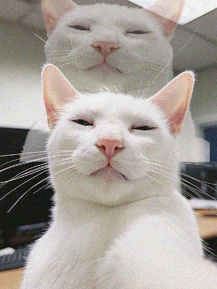 下午上班是灵魂出窍的时间💀 