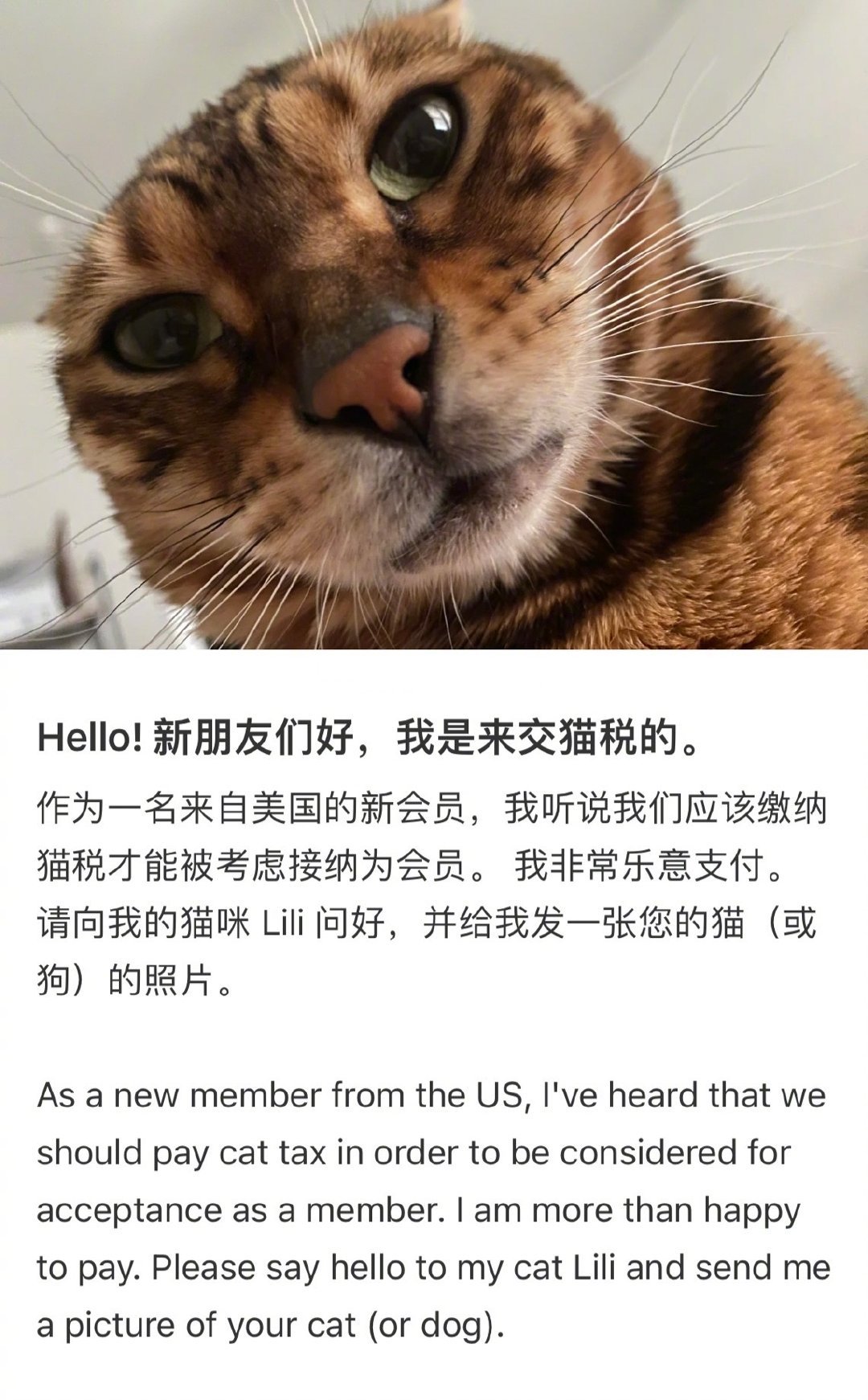 交完猫税该交电影票了  “交完猫税该交电影票了”是什么梗？细看才知道，最近备受关