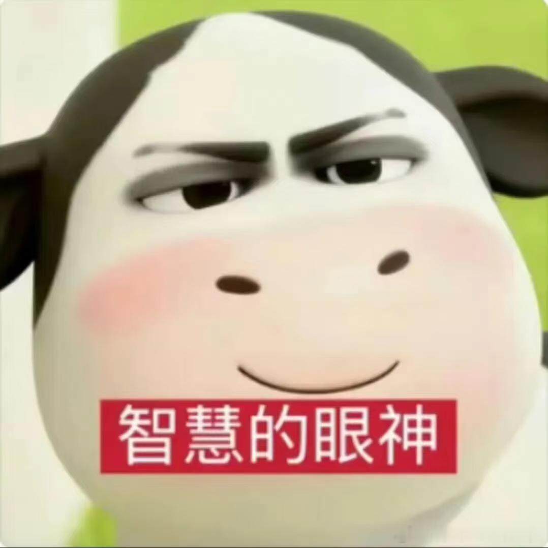 我们谶是阿毛不是阿呆！全世界最聪明的小谶