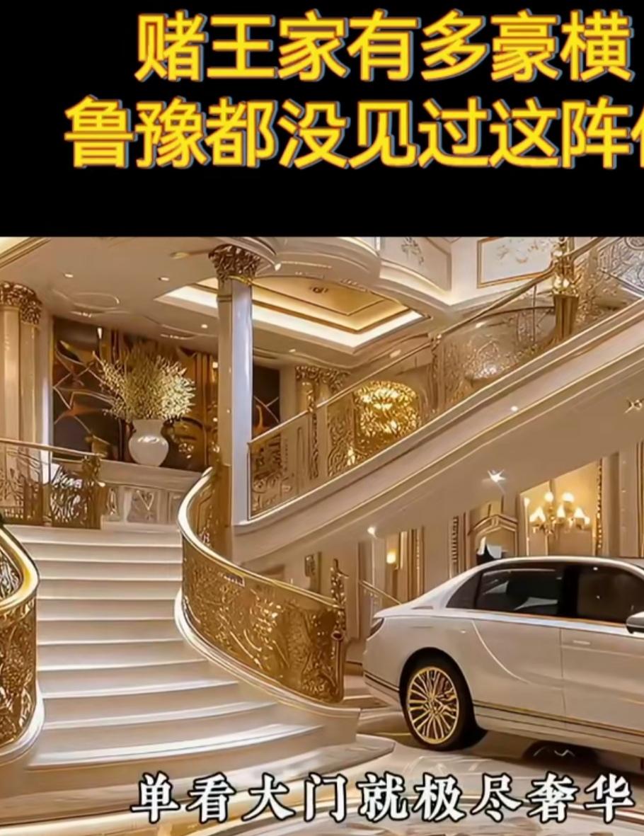 赌王的家真的很豪横，鲁豫在采访他的时候，下来都是直行飞机把她接着直接到他的家。