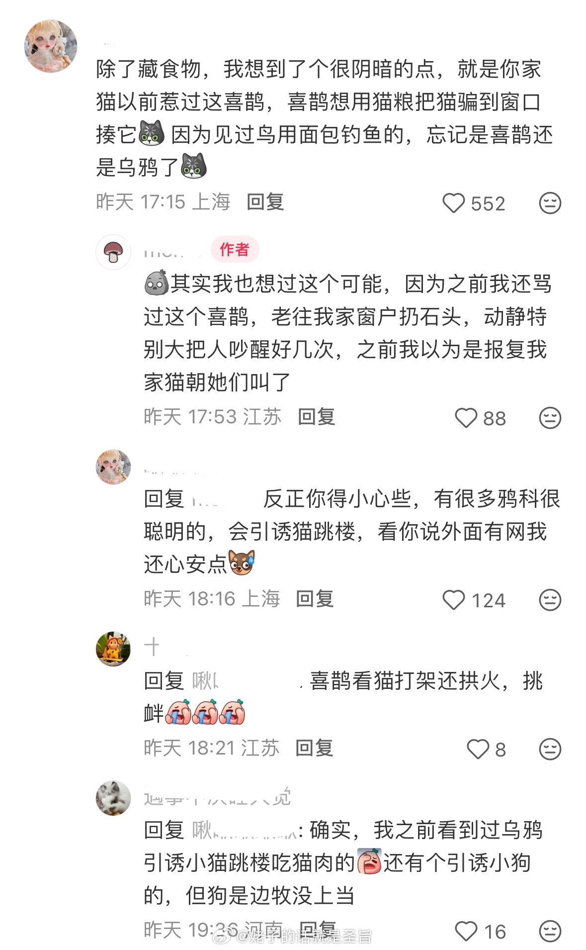 天呐😧鸟这么聪明这么坏吗所以养猫养狗一定要封好窗！