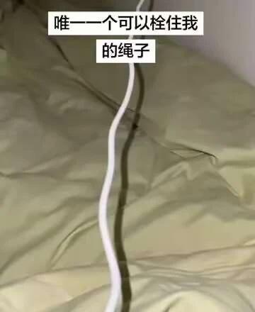 唯一一个可以拴住我的绳子
充电线 抽象 万物皆可牵