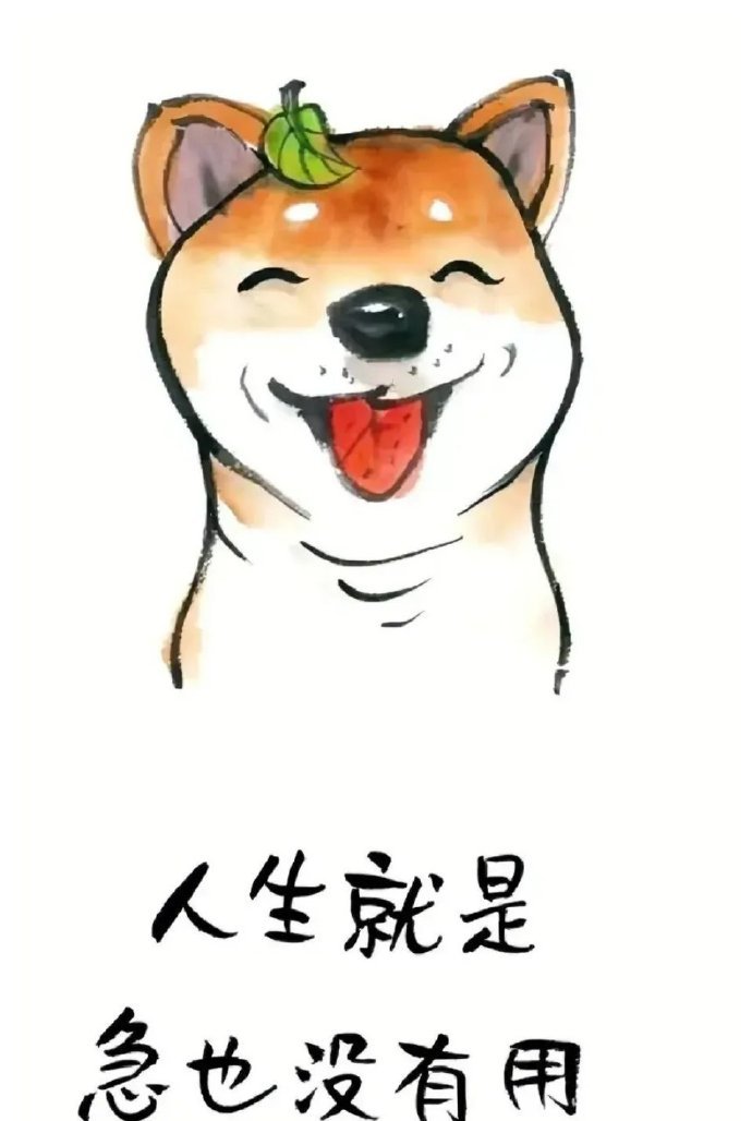 [2025]                   生活之苦，苦于执着，     