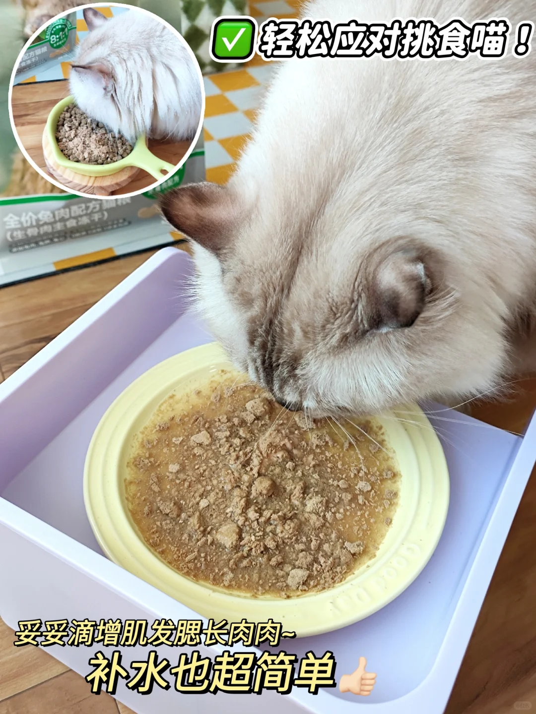 挑食猫不长肉？那是你没试过这个猫猫冻干！