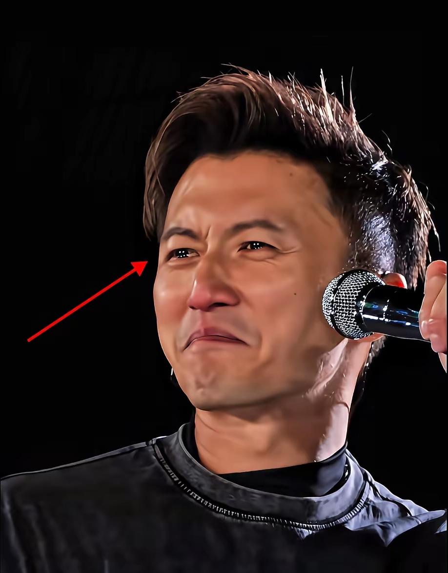 谢霆锋父亲20日去世，他25日就开演唱会，这样真的应该吗？

谢霆锋25日青岛演