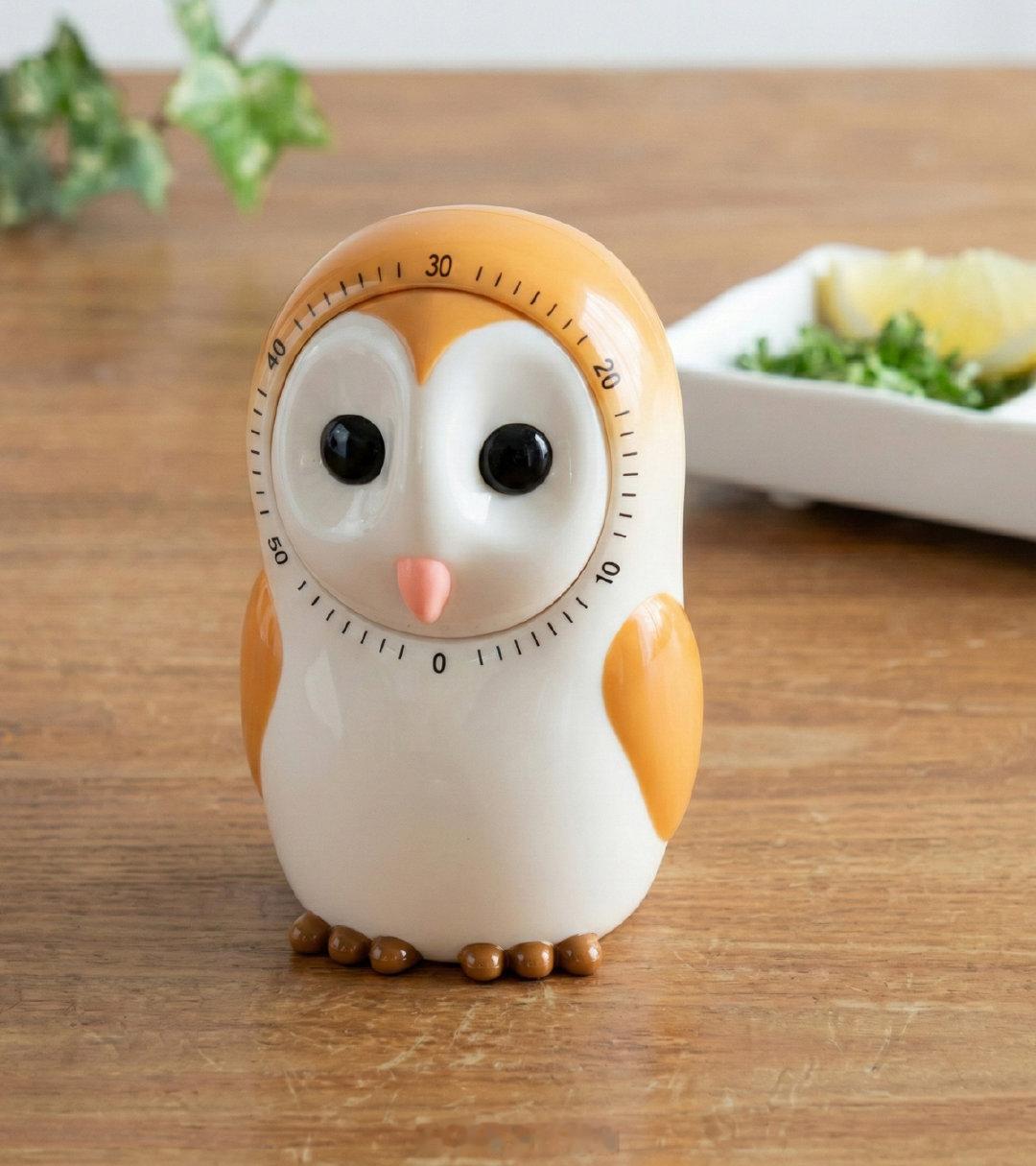 仓鸮（Tyto alba 猴面鹰、谷仓猫头鹰）计时器，太厉害的观察和完成了猫头鹰