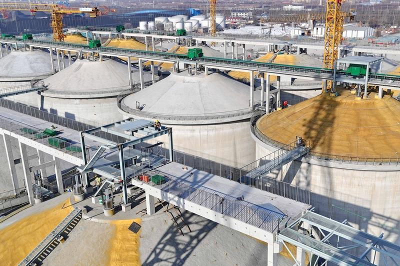 中储粮平仓机器人来了！大国粮仓彻底变天，中国人饭碗更稳了
 
你敢信吗？以前粮仓