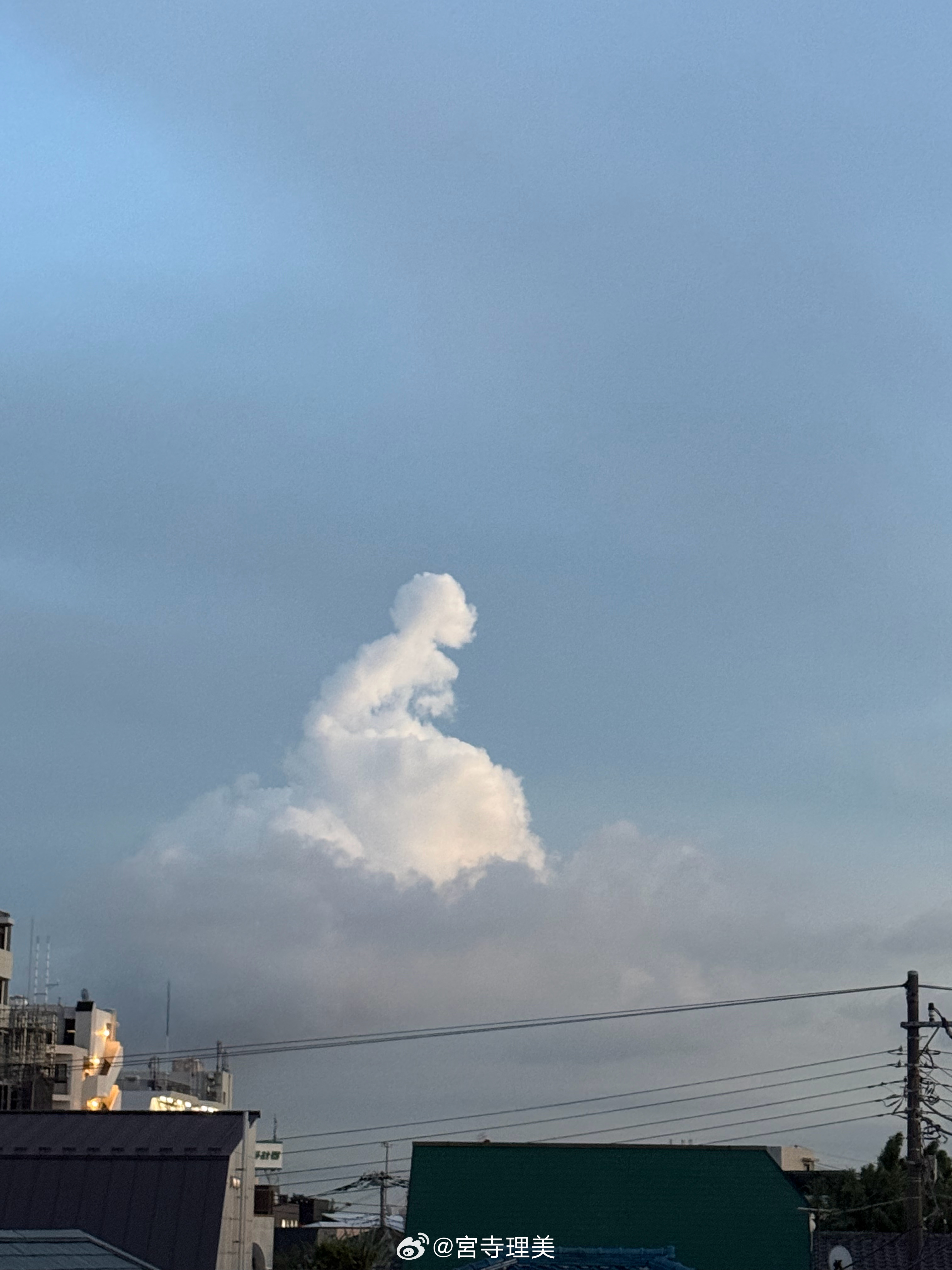 今天的云就像是祈祷的女性☁️ 