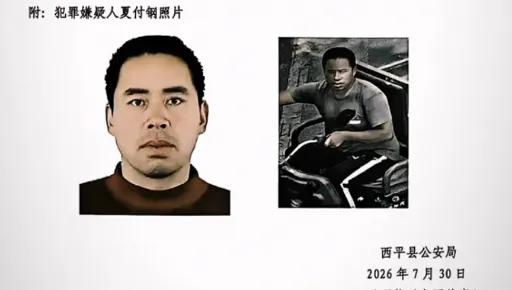 在农村生活过的都知道，夏付钢这事，几句口角只是导火索。

我说几个农村发生的真实